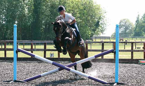 Englisch lernen und reiten in England